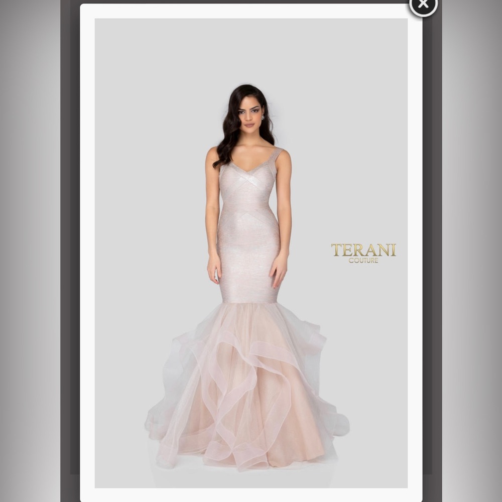 Terani Couture Size 6. Floor Length. Color:Blush Silver
